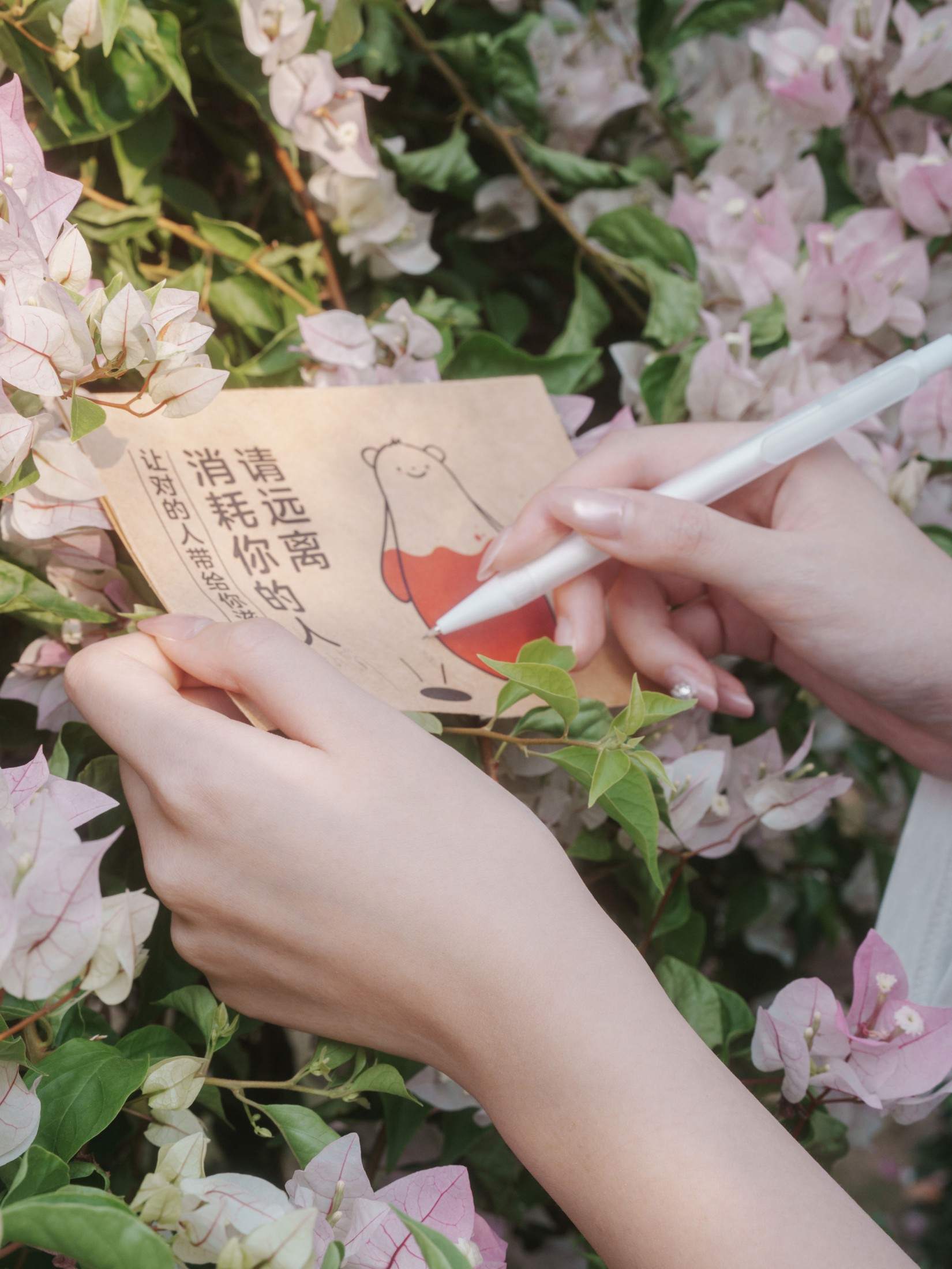 《信件》[31P] 插图5