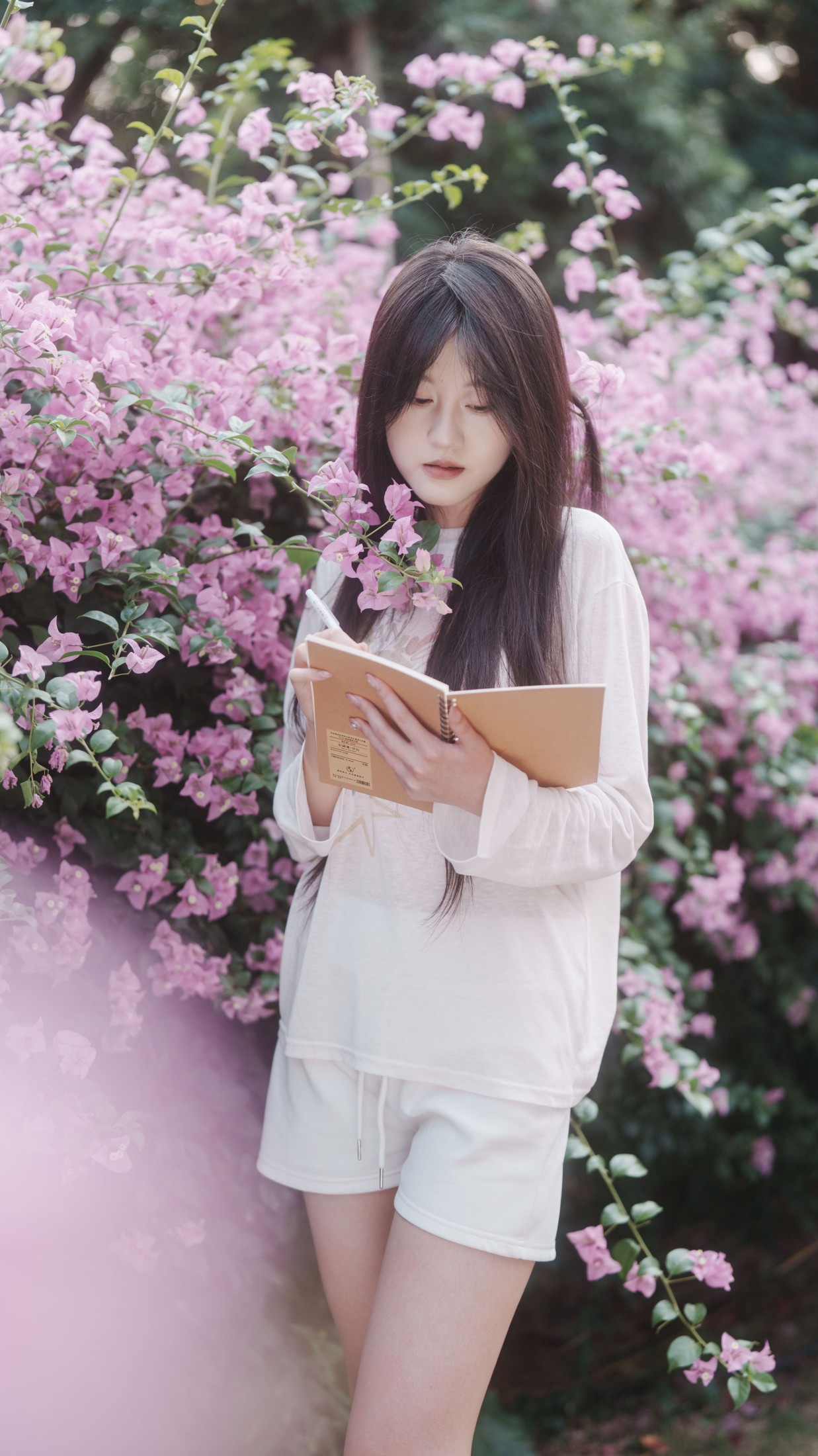 《信件》[31P]-66COS