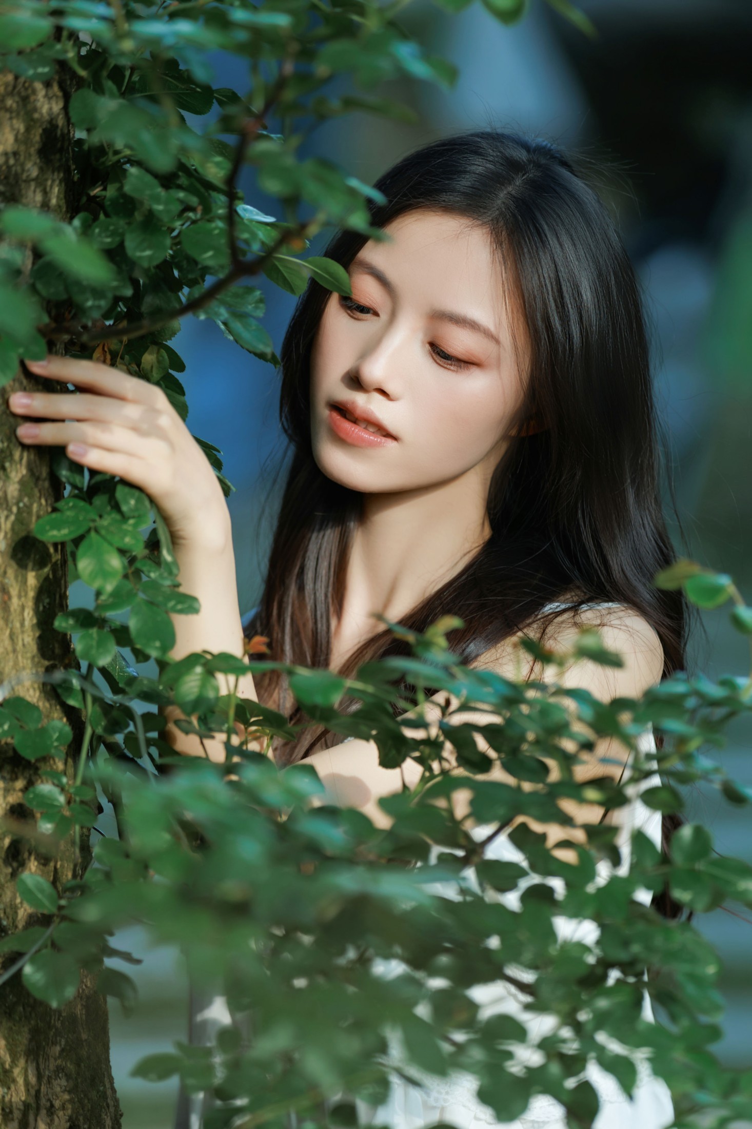 《赴一场七里香的白色花期》[24P] 插图5