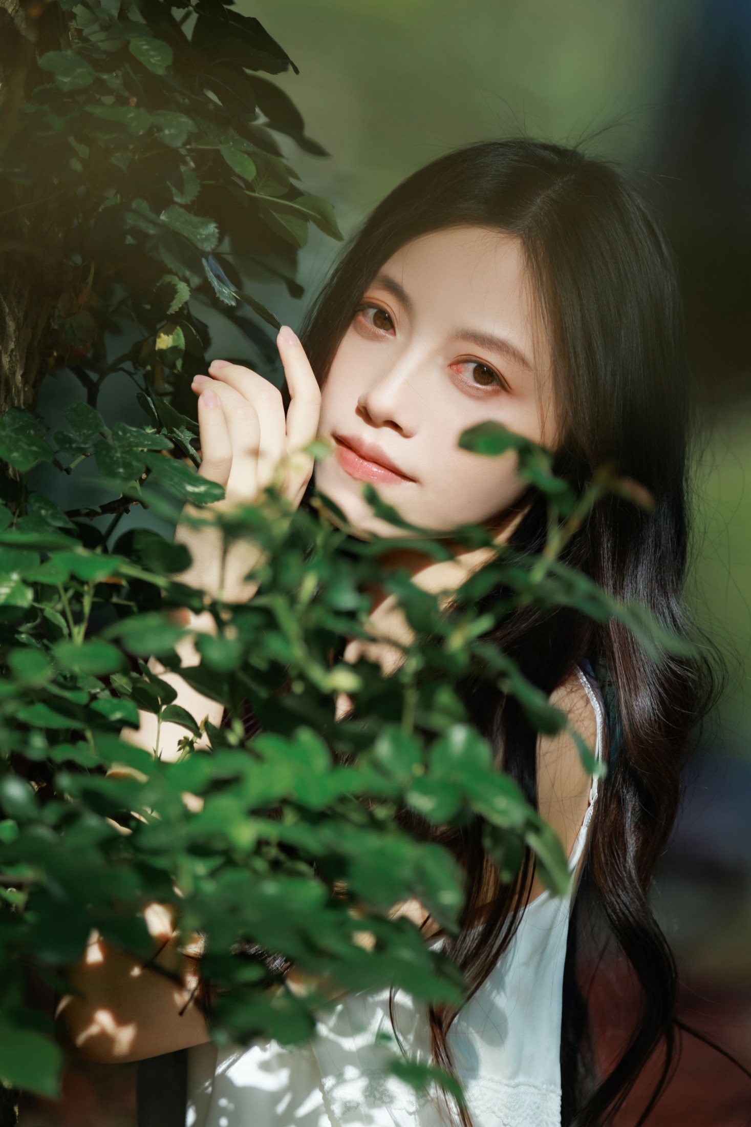 《赴一场七里香的白色花期》[24P]-66COS