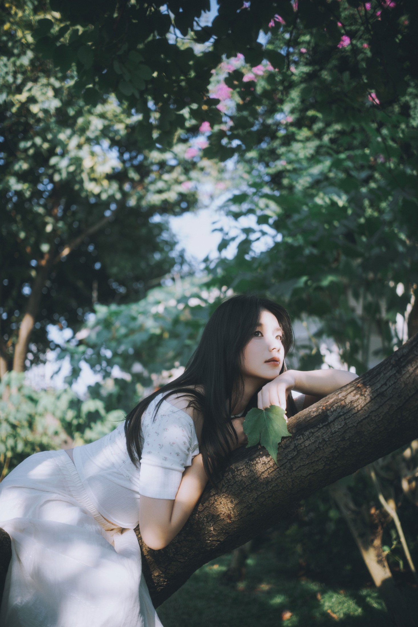 《掉进阳光里的温柔✨》[15P] 插图4