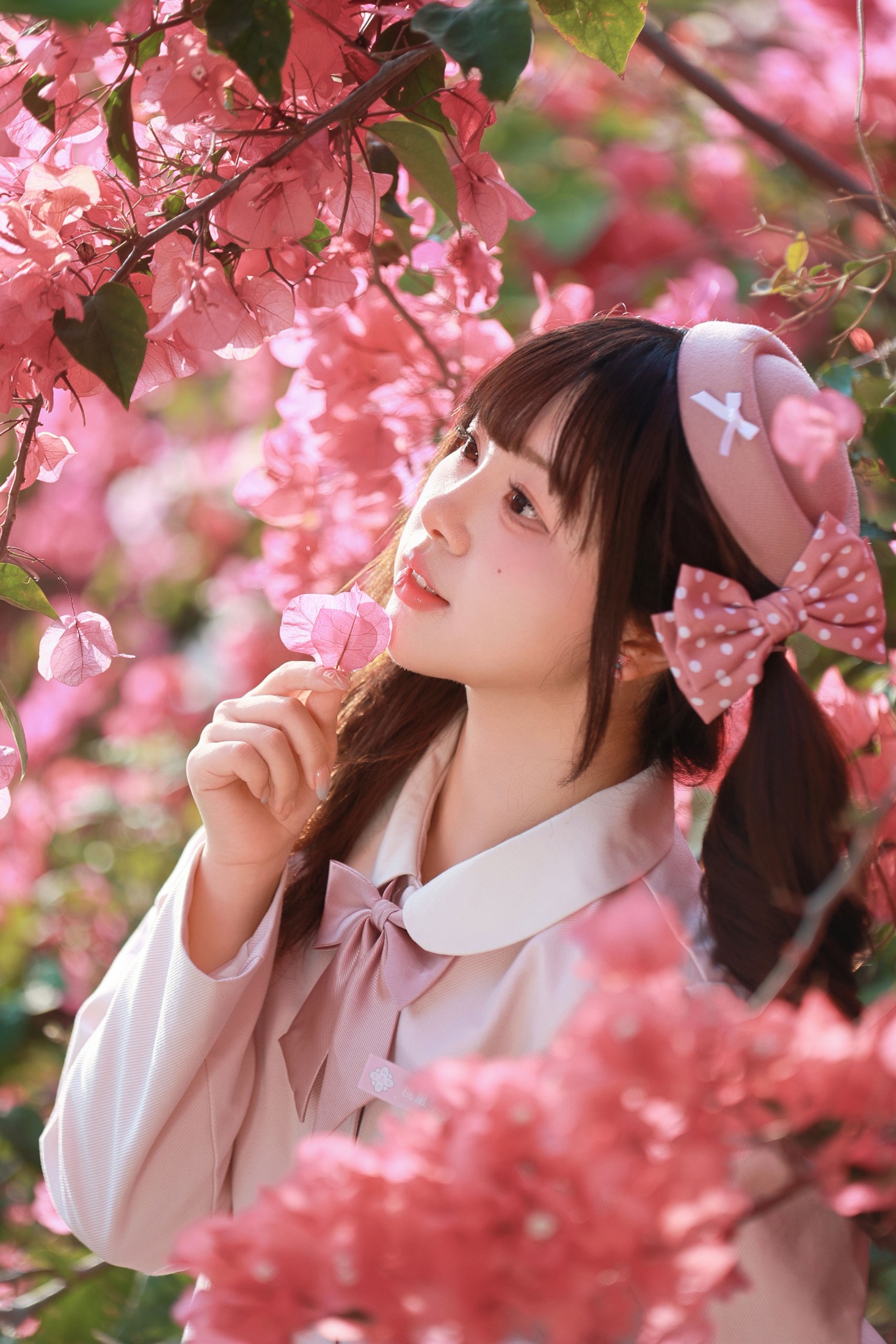 《掉进三角梅的粉色花海啦》[15P] 插图3