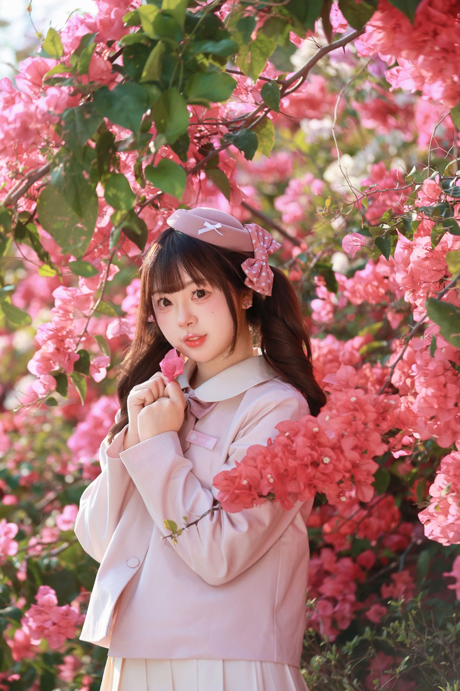 《掉进三角梅的粉色花海啦》[15P] 插图5