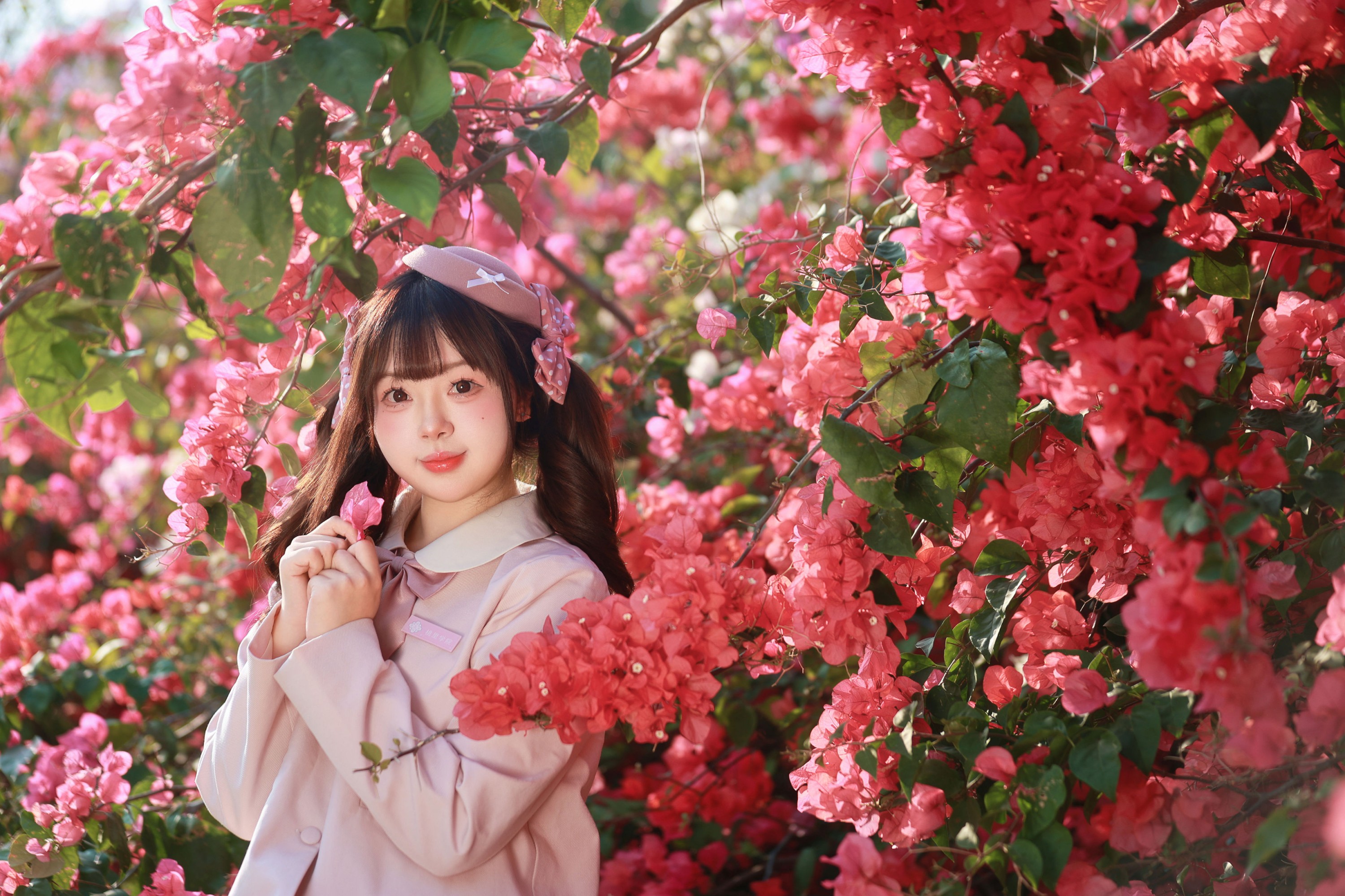 《掉进三角梅的粉色花海啦》[15P] 插图4