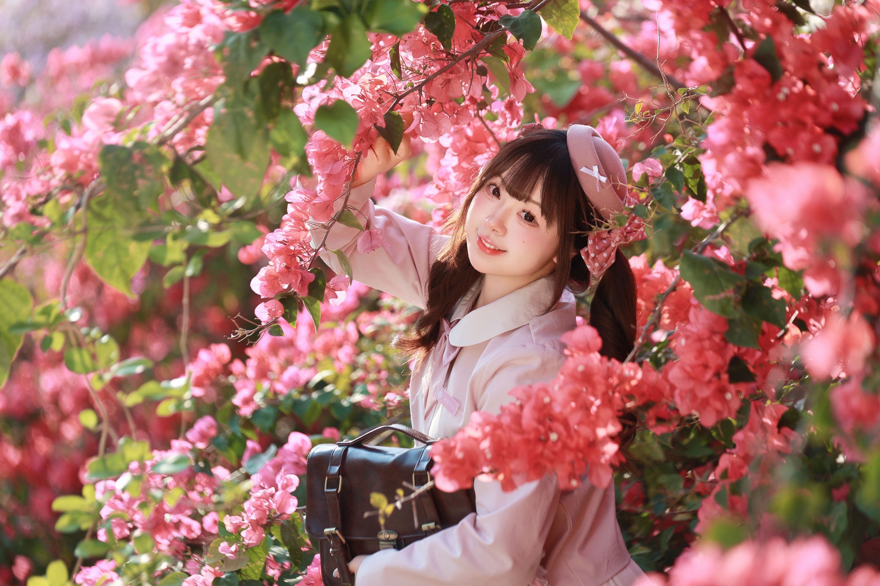 《掉进三角梅的粉色花海啦》[15P] 插图2
